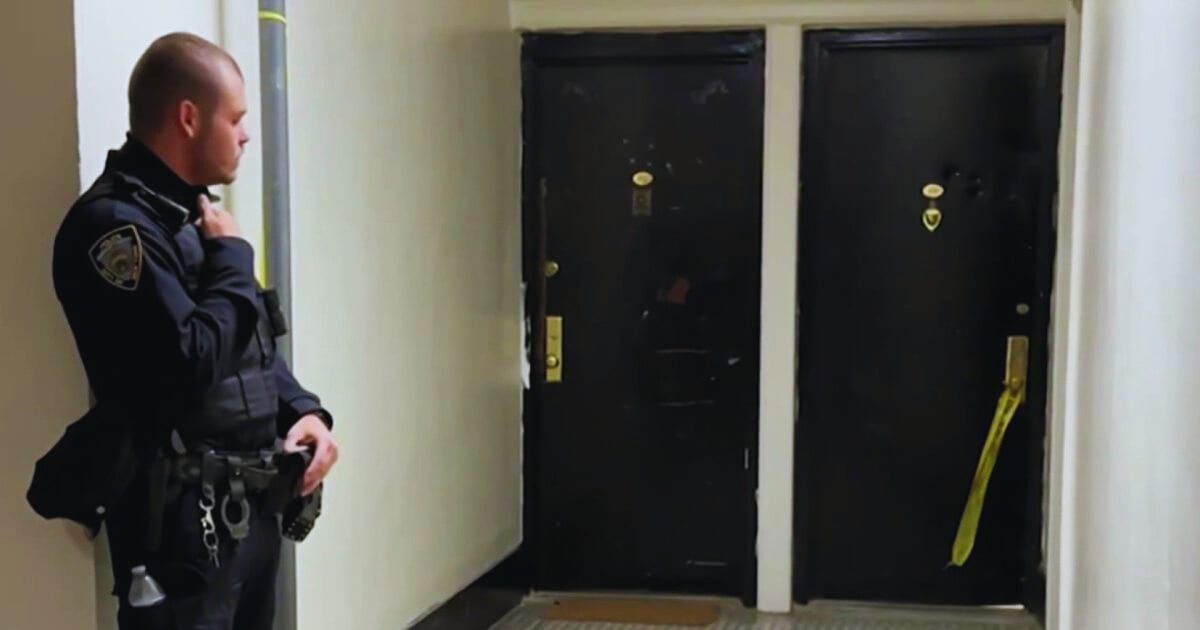 David Drummond, a 30-year-old Brooklyn man, is suspected of murdering his mother, Shirley Awer, and concealing her corpse in a box (YouTube/Eyewitness News ABC7NY)
