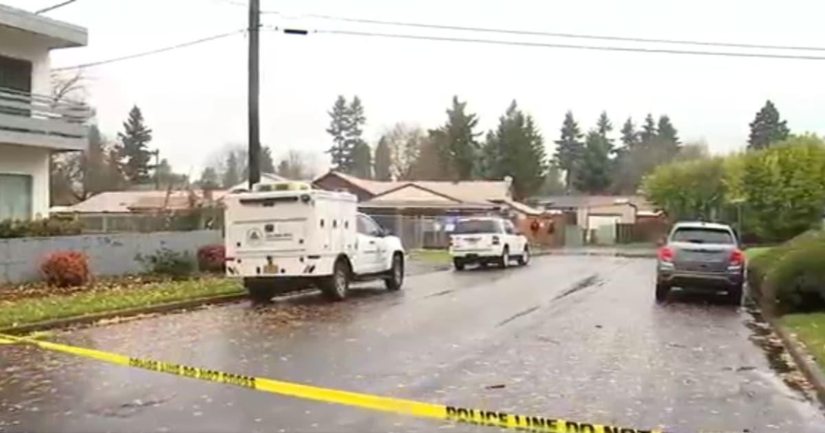 Two dogs maul a child to death in Portland home (Screengrab/Fox12)