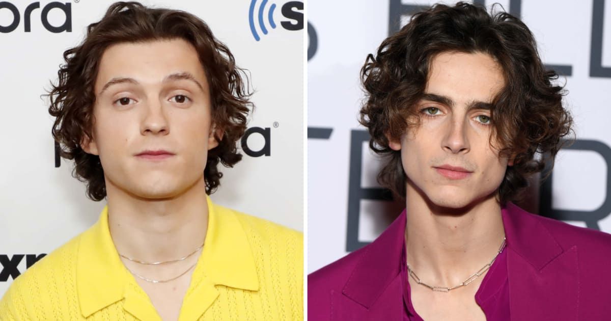 Tom Holland and Timothee Chalamet are often mistaken for each other (Getty Images)