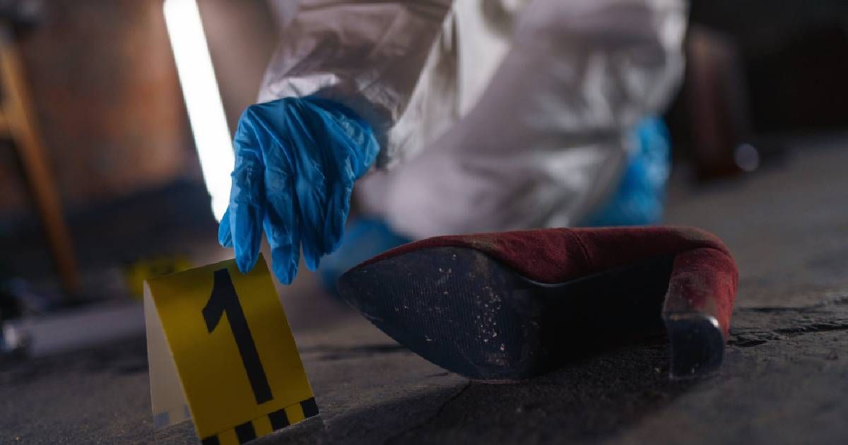 Representational image (TREEDEO.ST/ Pexels)