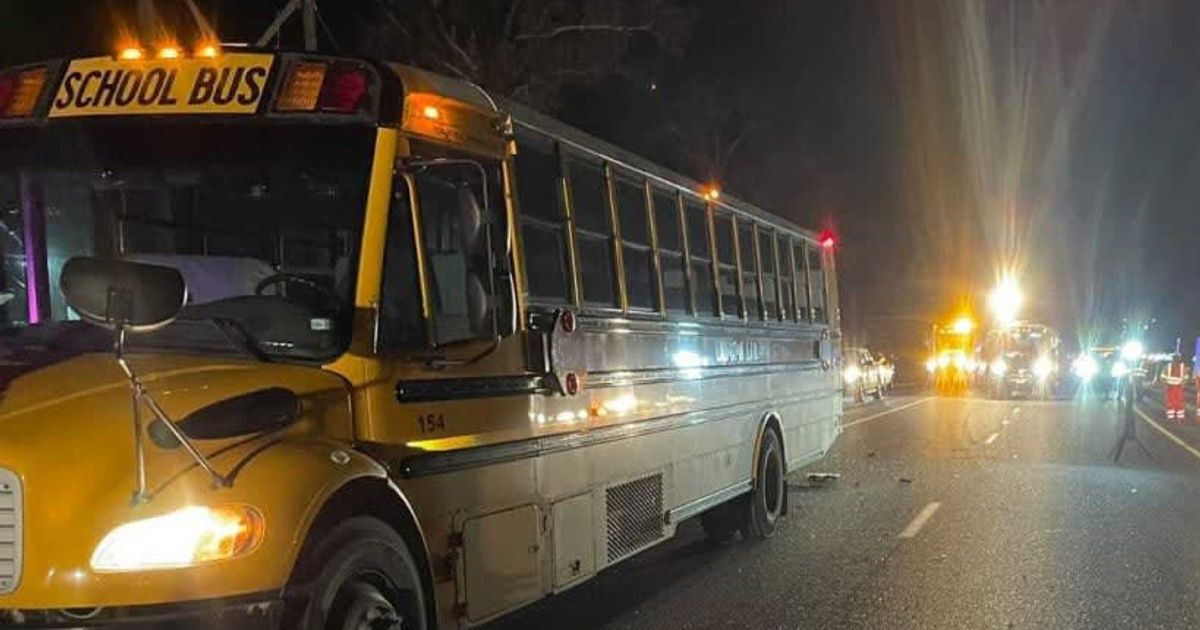 The tragic incident unfolded on US Highway 59, just north of Livingston (@txdpssoutheast/X)