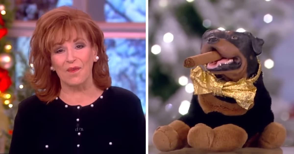 Joy Behar gets teased for her age by Triumph the Insult Comic Dog (Screengrab/The View/YouTube)