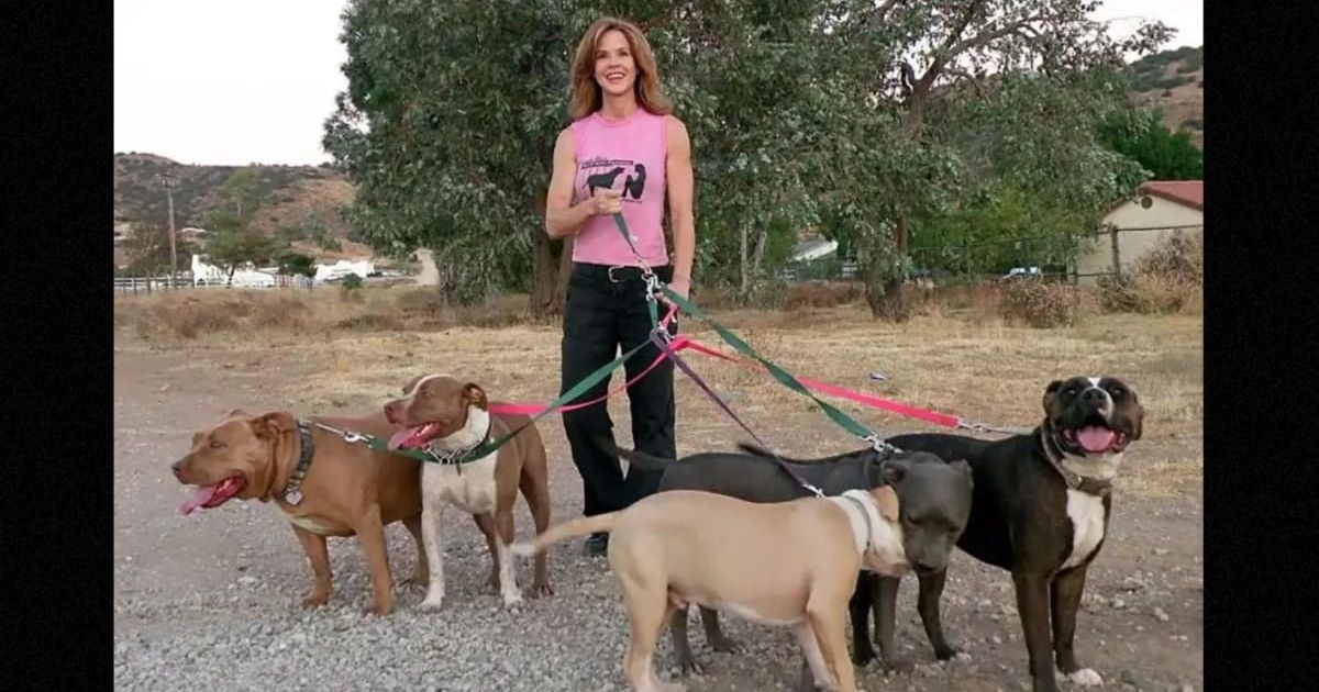 Linda Blair, 64, is a devoted animal carer who launched her foundation in 2003 (Linda Blair World Heart Foundation)
