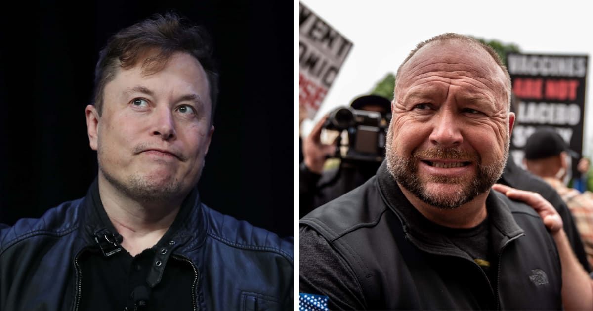 Musk initiated a poll for users to decide whether Jones should have his account restored (Getty Images)