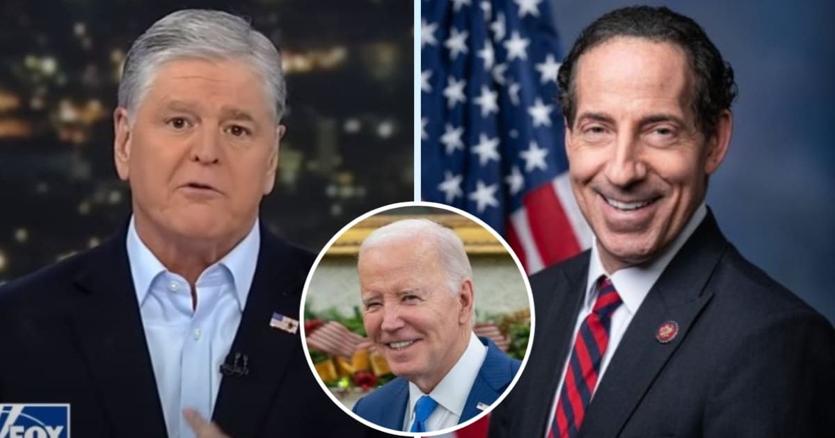 Jamie Raskin gets blasted online after Fox News' Sean Hannity says Rep making efforts to quash Biden impeachment