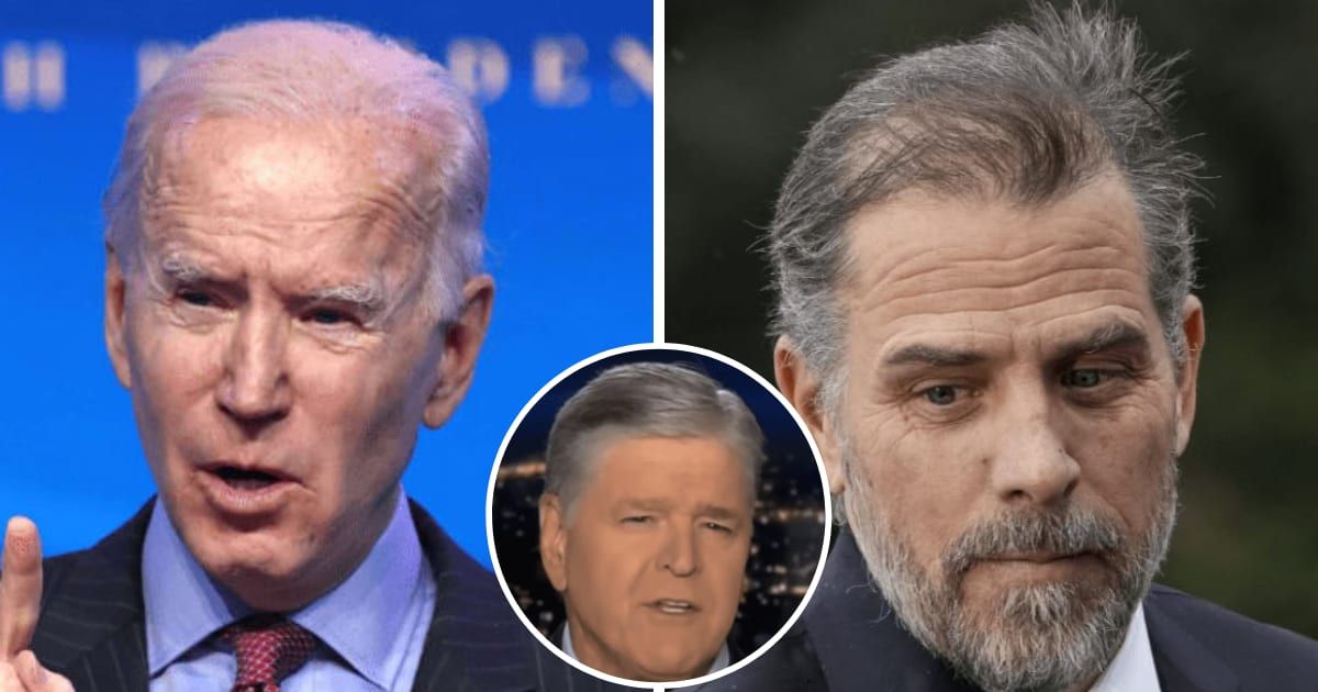 Internet slams 'hateful' Sean Hannity as Fox News anchor claims Joe Biden is 'in the dumps' over Hunter Biden's felony charges