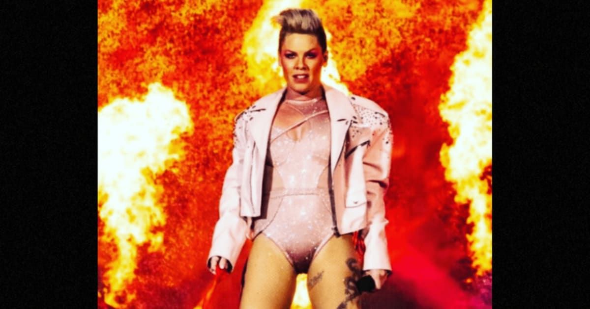 Pink, 44, has had previous run-ins with people questioning her parenting decision (pink/Instagram)