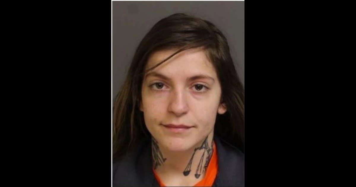 Breanna Englert apologized to the victims and requested the court to allow her to complete drug treatment (Clinty County DAs Office)