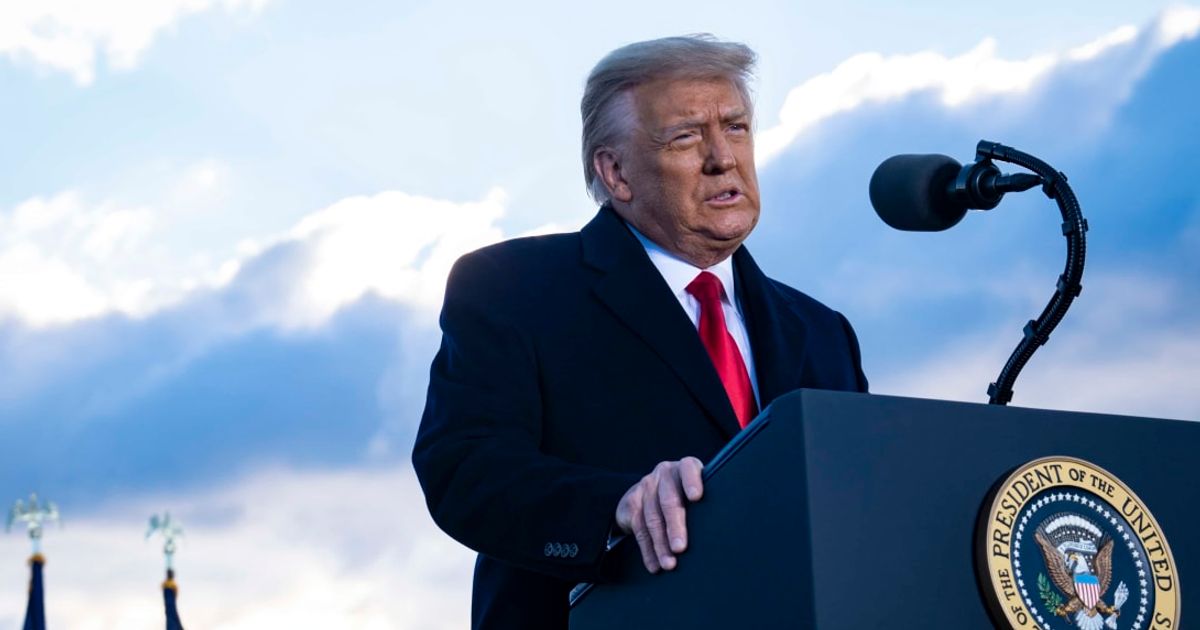 'How embarrassing': Donald Trump trolled for claiming wind turbines are 'killing all our birds and whales' 