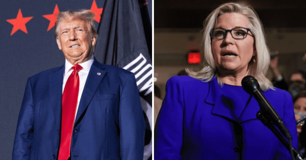 Liz Cheney urged Fox News viewers to not vote for Donald Trump after rejecting claims that she has shown a double standard in her critiques of Former President and President Joe Biden. (Getty Image and @Liz_Cheney/Twitter)