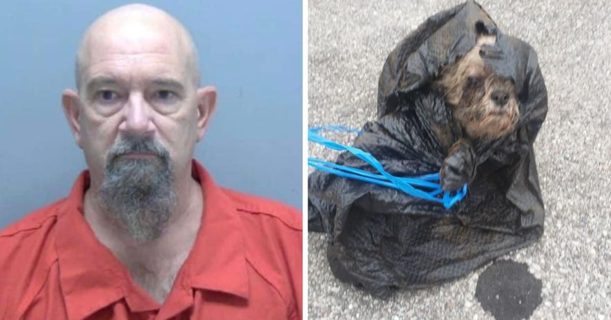 Detectives learned that Xyla had a microchip and discovered that her original owners were deceased (Facebook/Lee County Sheriff's Office)