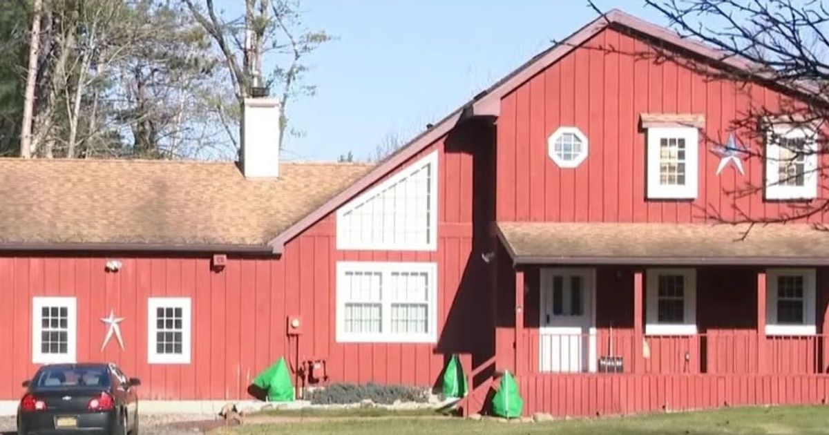 Frank Litterio has been arrested for killing his girlfriend in living room (Buffalo NBC affiliate WGRZ/Screengrab)