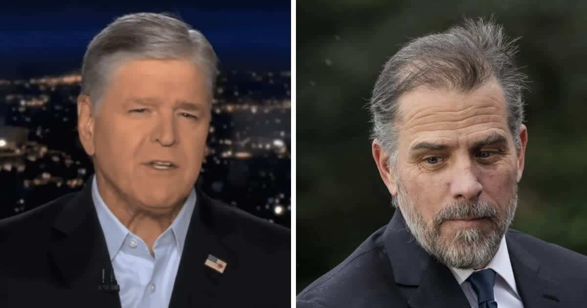 'Hypocrite': Internet bashes Sean Hannity after his report on Hunter Biden's absence from passenger log to DC goes viral
