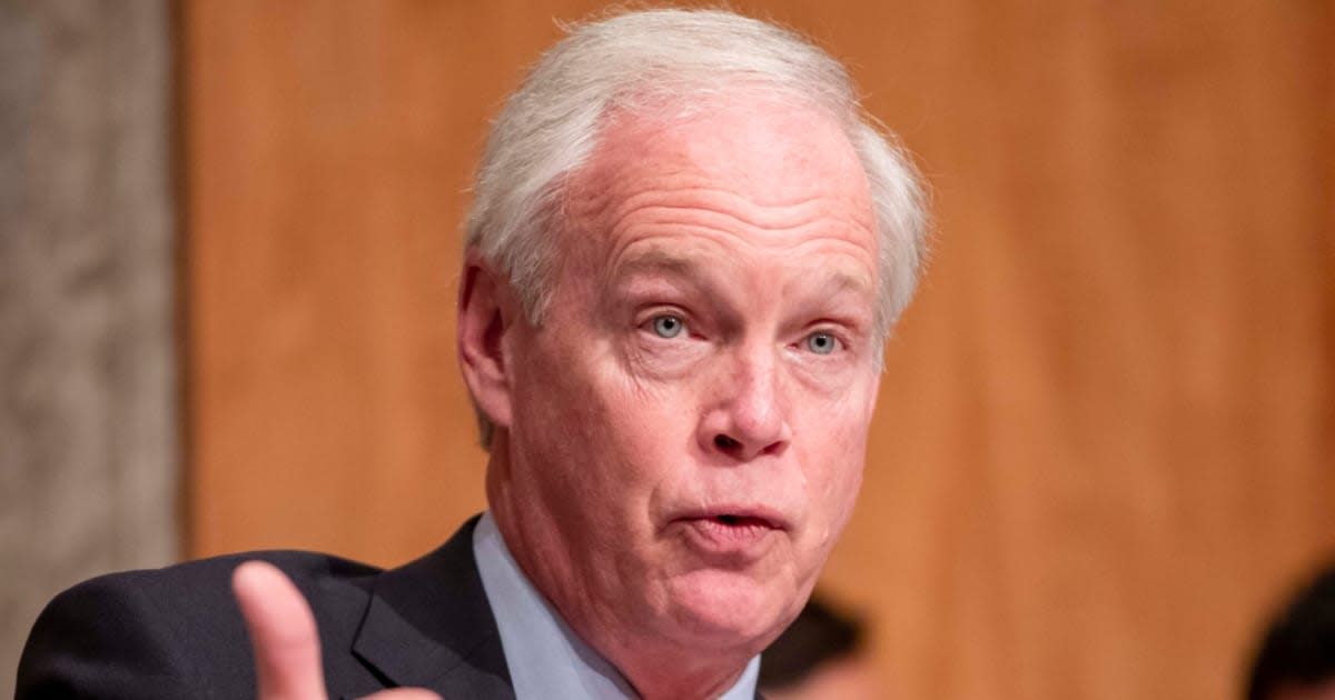 GOP Sen Ron Johnson is aiming to 'slow down' the bipartisan border security and immigration deal (Getty Images)