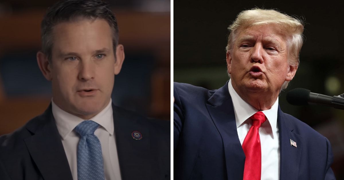 Adam Kinzinger's recent revelation about Donald Trump's purported body odor has led to an avalanche of jokes and memes (@frontline/YouTube, Getty Images)
