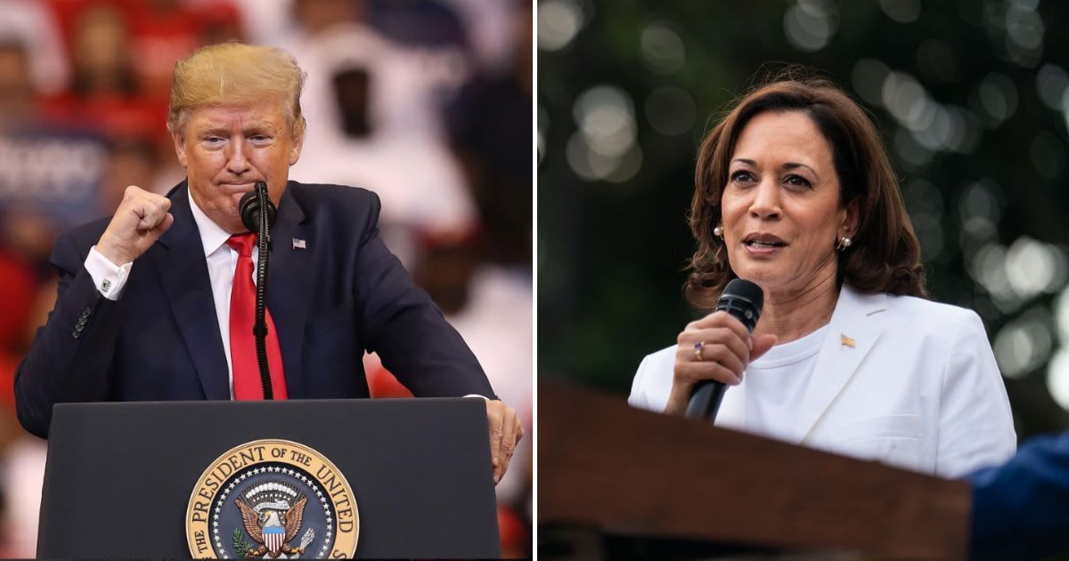 Donald Trump expressed an optimistic opinion about vice president Kamala Harris on 'The Hugh Hewitt Show' (Getty Images, @kamalaharris/Instagram)