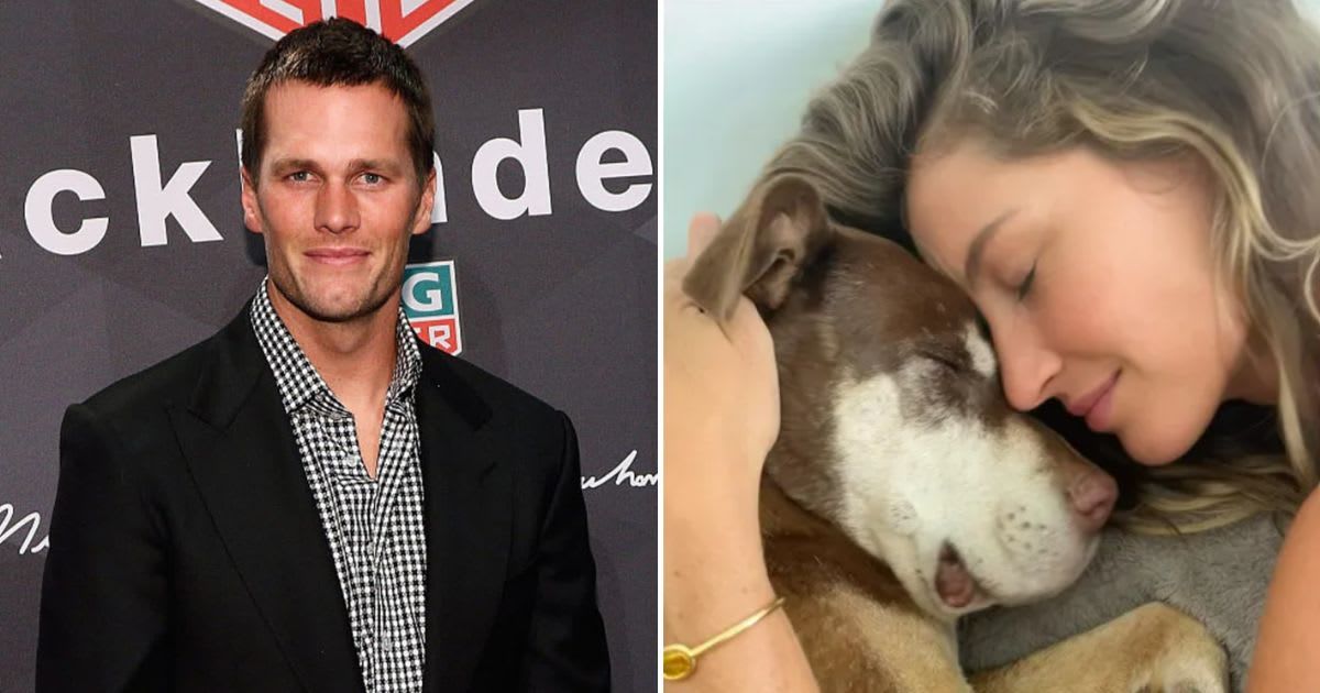Former couple Tom Brady and Gisele Bundchen lament the loss of their beloved family dog, Lua (Getty Images, @gisele/Instagram)