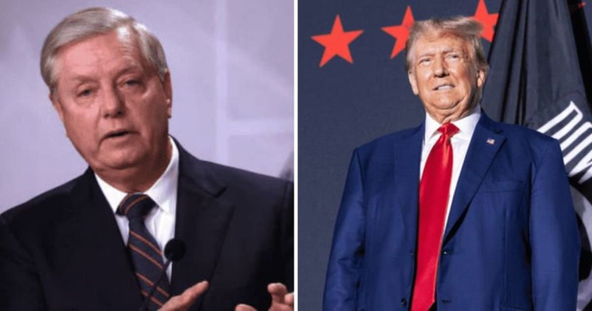 'No one cares what dandy thinks': Lindsey Graham trolled as he warns Trump could lose in 2024 if he doesn't forget 2020