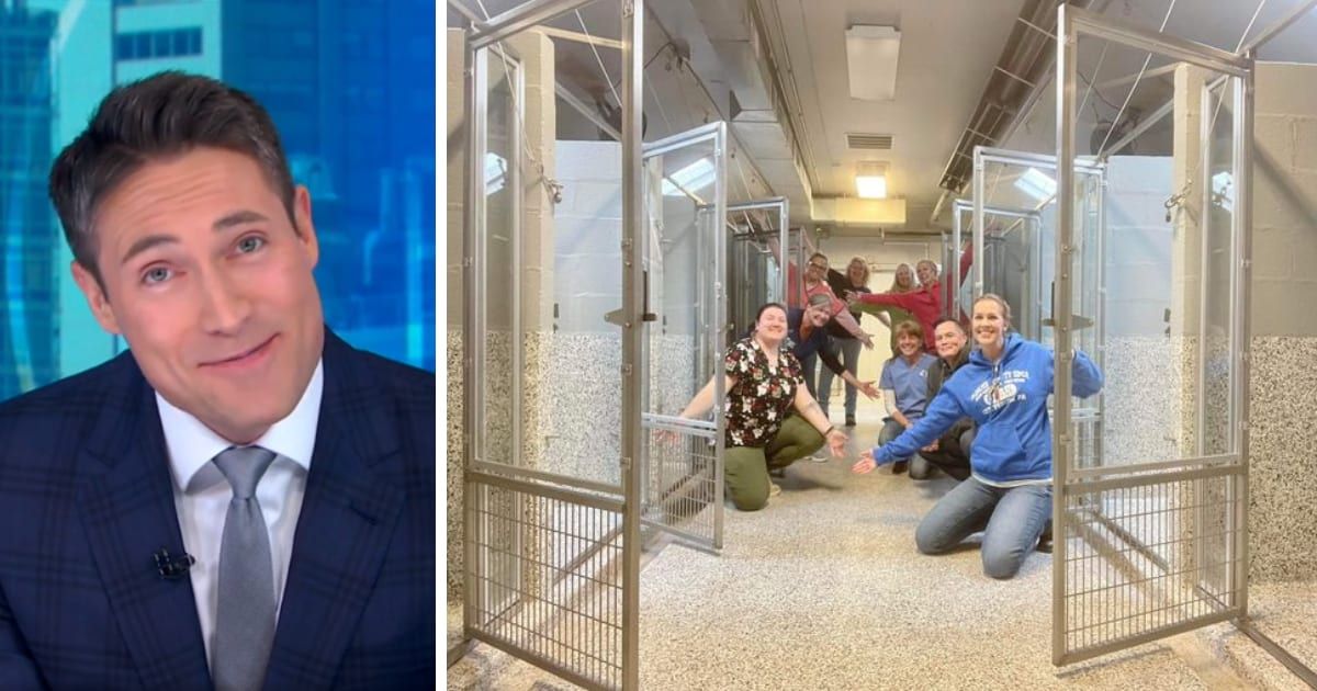 Whit Johnson joyfully announced that Pennsylvania's Adams County SPCA has been emptied out on 'GMA' (@GMA/X, Adams County SPCA/Facebook)