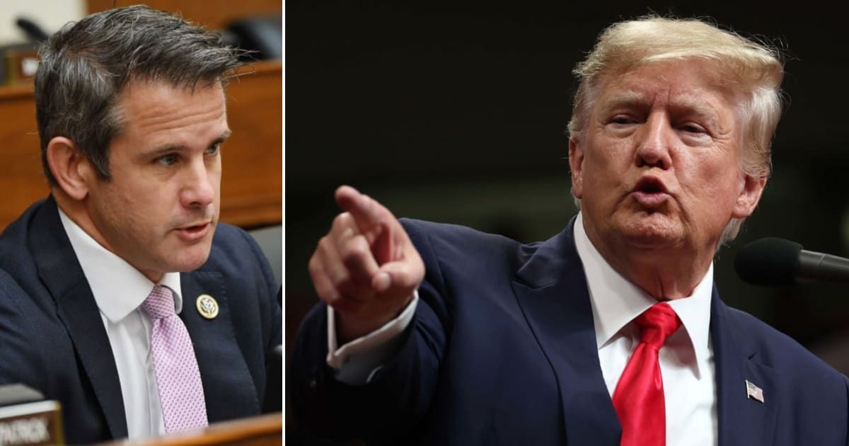 Pictured (L-R): Adam Kinzinger, Donald Trump (Getty Images)