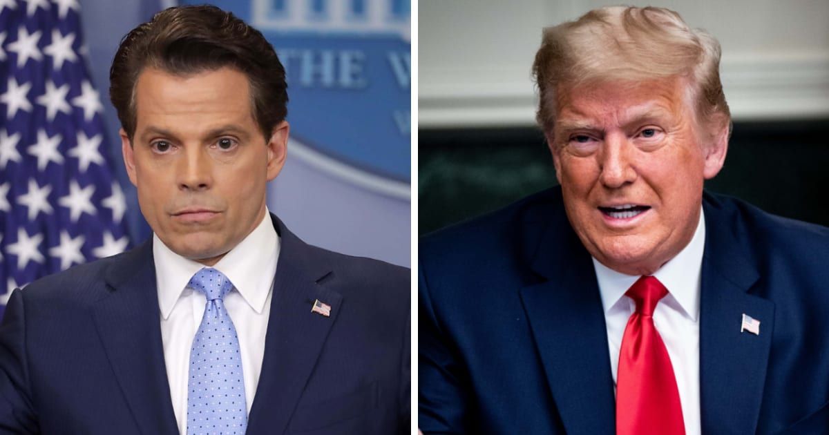 Former Donald Trump aide, Anthony Scaramucci has vowed not to vote for the ex-POTUS (Getty Images)