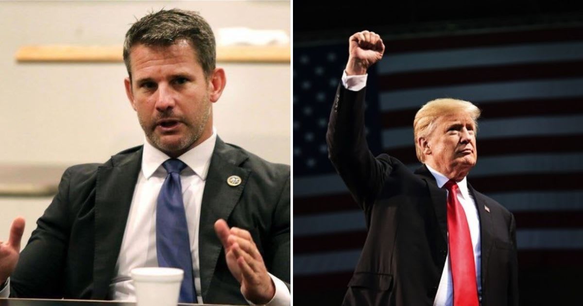Former Illinois GOP congressman Adam Kinzinger called Donald Trump a 'professional whiner and bellyacher' in an interview  (@adam_kinzinger/Instagram, @realdonaldtrump/Instagram)