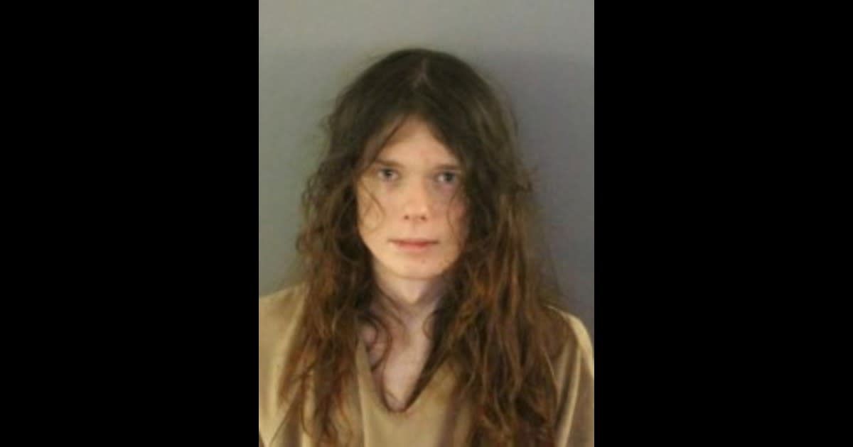 Connor Crumrine faces multiple charges for fatally attacking his mother (Charlotte County Sheriff’s Office)