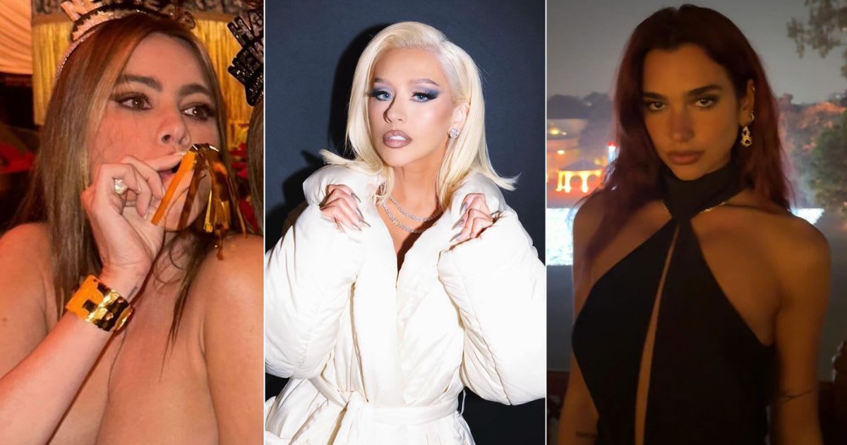 Here's how some of your favorite celebrities like Sofia Vergara, Christina Aguilera and Dua Lipa ushered in 2024 (@sofiavergera, @xtina, @dualipa/Instagram)