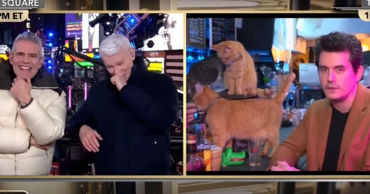 John Mayer injected riotous energy into CNN's New Year's Eve show at a Tokyo Cat Cafe, triggering uncontrollable laughter from hosts Anderson Cooper and Andy Cohen (CNN)
