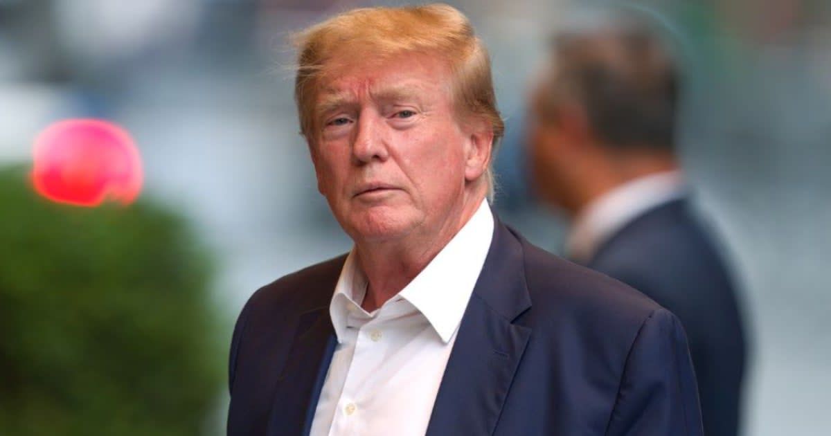 Donald Trump's lawyers claim that the former President's immunity from criminal prosecution be considered when operating as POTUS (@euanapolli/Instagram)