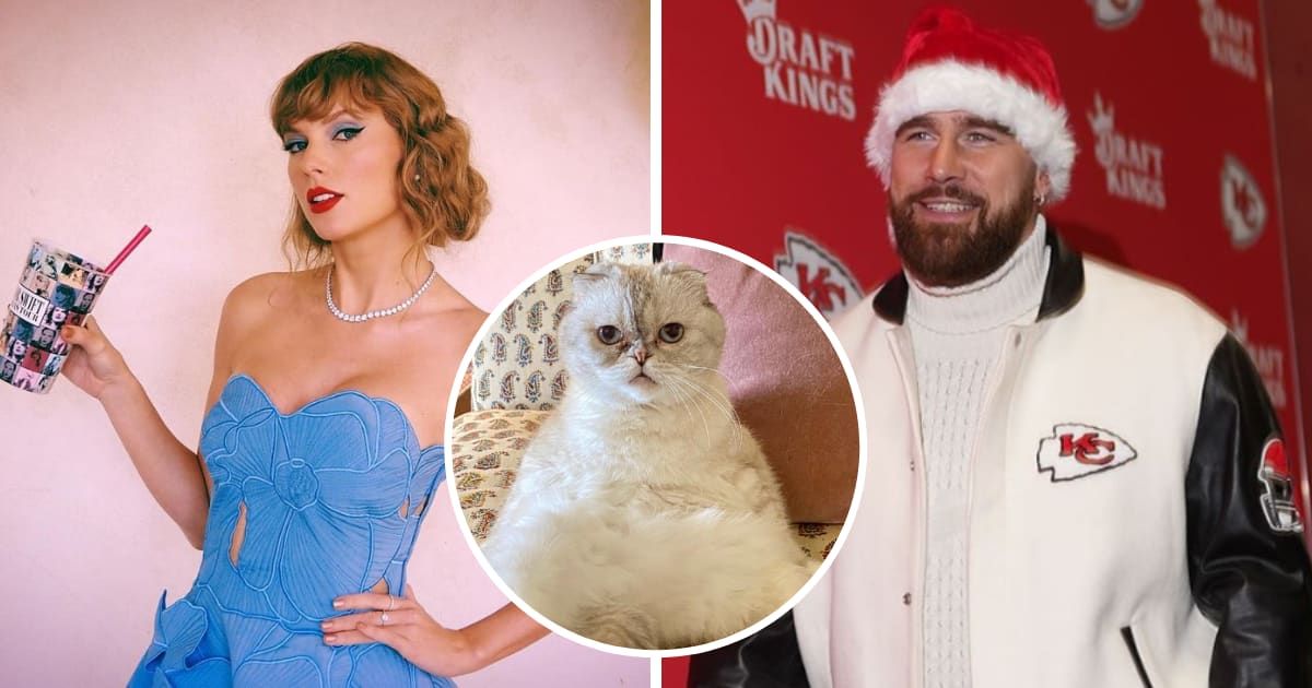 Report claims Taylor Swift's cat has a higher net worth than Travis Kelce, Internet says 'she couldn't care less'
