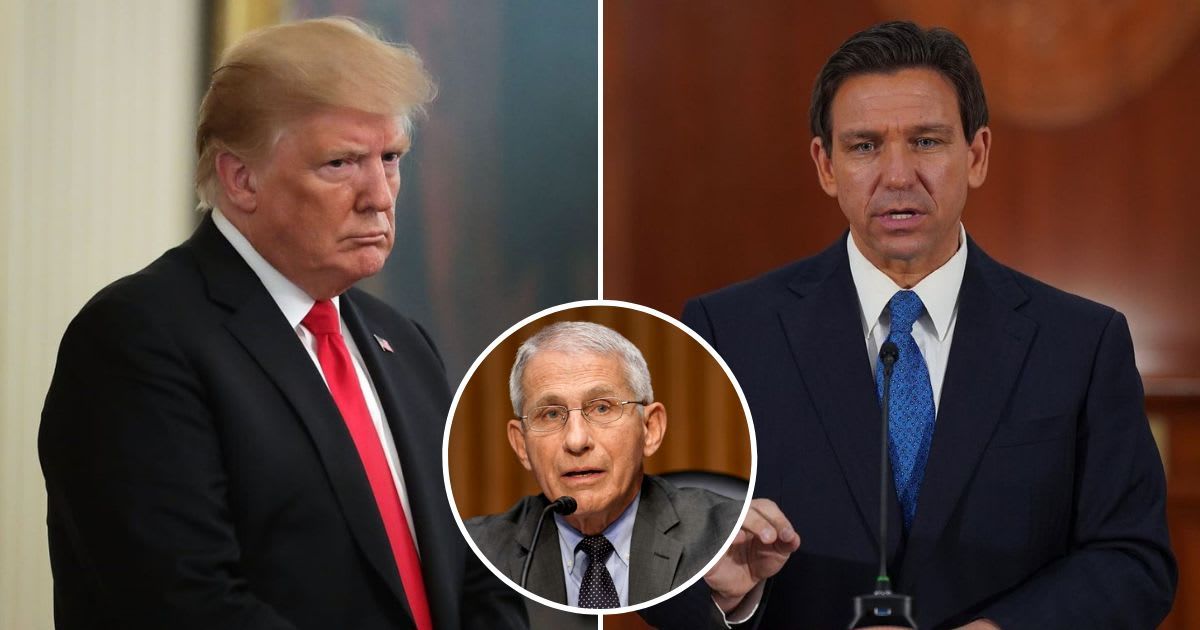 Donald Trump claimed onstage at the Fox News Iowa Town Hall that Florida Governor Ron DeSantis was a 'big fan' of Dr Anthony Fauci (Getty Images, @flgovrondesantis/Instagram)