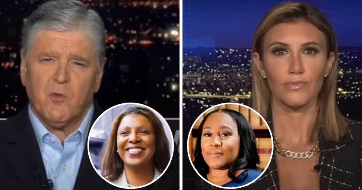 Internet labels Trump's attorney Alina Habba 'stupid' as she blasts Letitia James and Fani Willis on 'Hannity'
