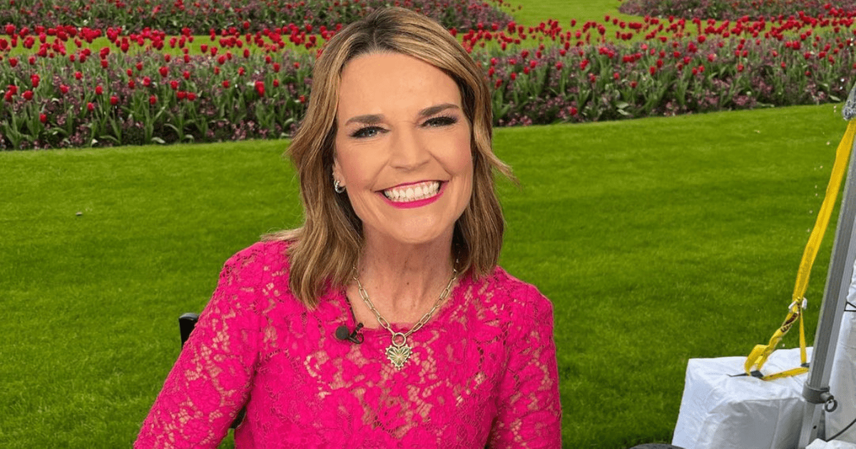 Savannah Guthrie recently took to Instagram to share a newly acquired hair accessory @savannahguthrie/Instagram)