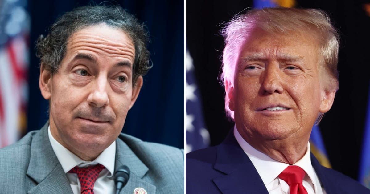 Pictured (L-R): Jamie Raskin, Donald Trump (Getty Images)