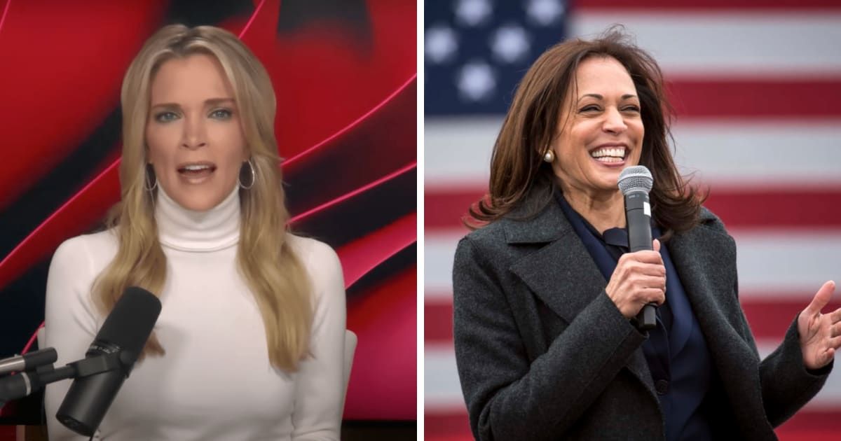 Megyn Kelly mockingly dubbed Kamala Harris as 'so smart' before dissecting the VP's recent speeches (Megyn Kelly/YouTube, Getty Images)