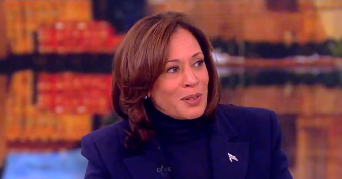 Vice President Kamala Harris appeared on the January 17, 2024 episode of 'The View' (Screengrab/@TheView/X)