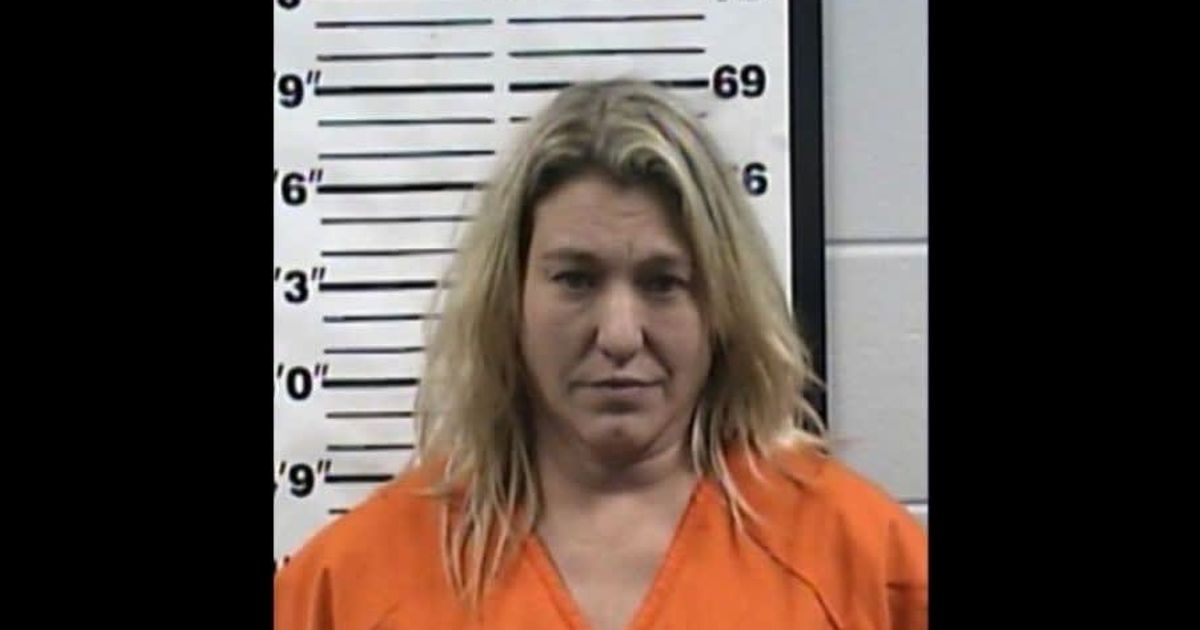 Mary Terry is facing homicide charges for allegedly striking her husband with a truck (Forest County Sheriff's Office)