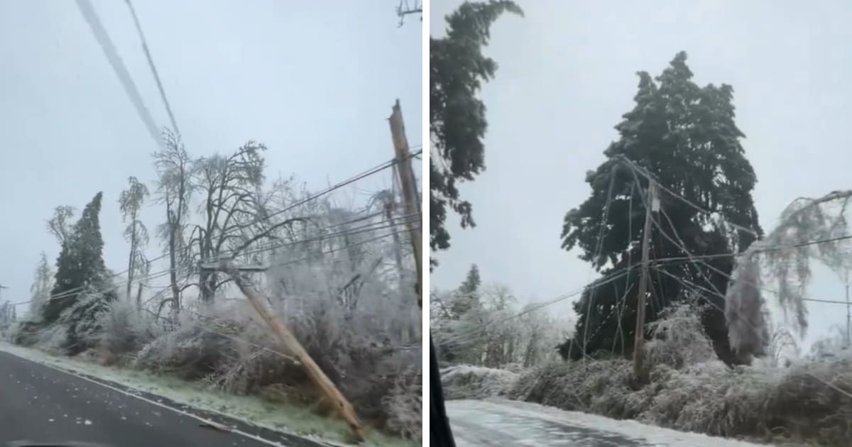 3 killed, 2-year-old child injured as power line falls on car during Oregon ice storm
