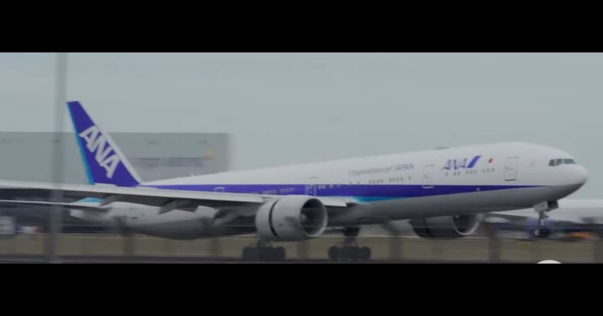 'Zombie apocalypse is upon us': Internet aghast as drunk passenger bites flight attendant’s arm mid-air