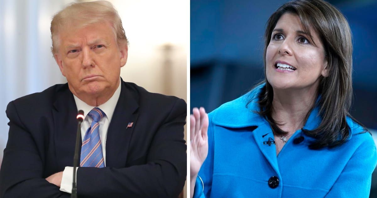 Donald Trump reiterated his false claims on Dems 'infiltrating' New Hampshire primary amid Nikki Haley's growing support (Getty Images)