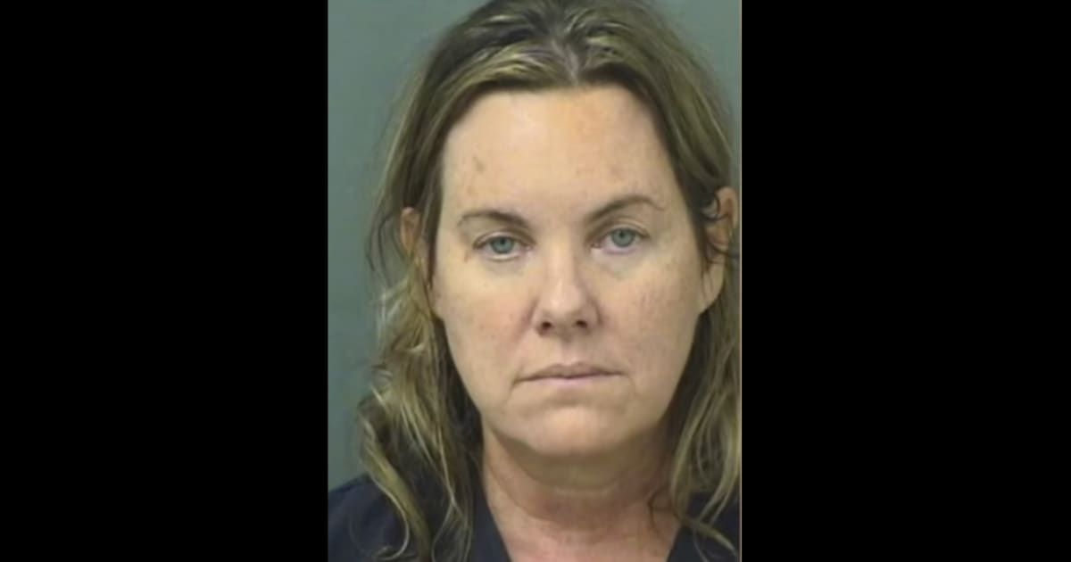 Julie Mitchell is slapped with multiple charges, including four counts of aggravated battery and two counts of resisting an officer with violence (YouTube/WPBF 25 News)