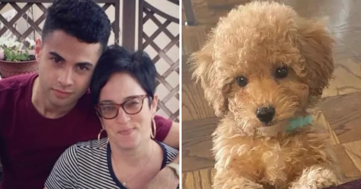 Donna Hyman and her son were apparently involved in a double stabbing, while the family dog was found dead outside (PIX11 News/YouTube)