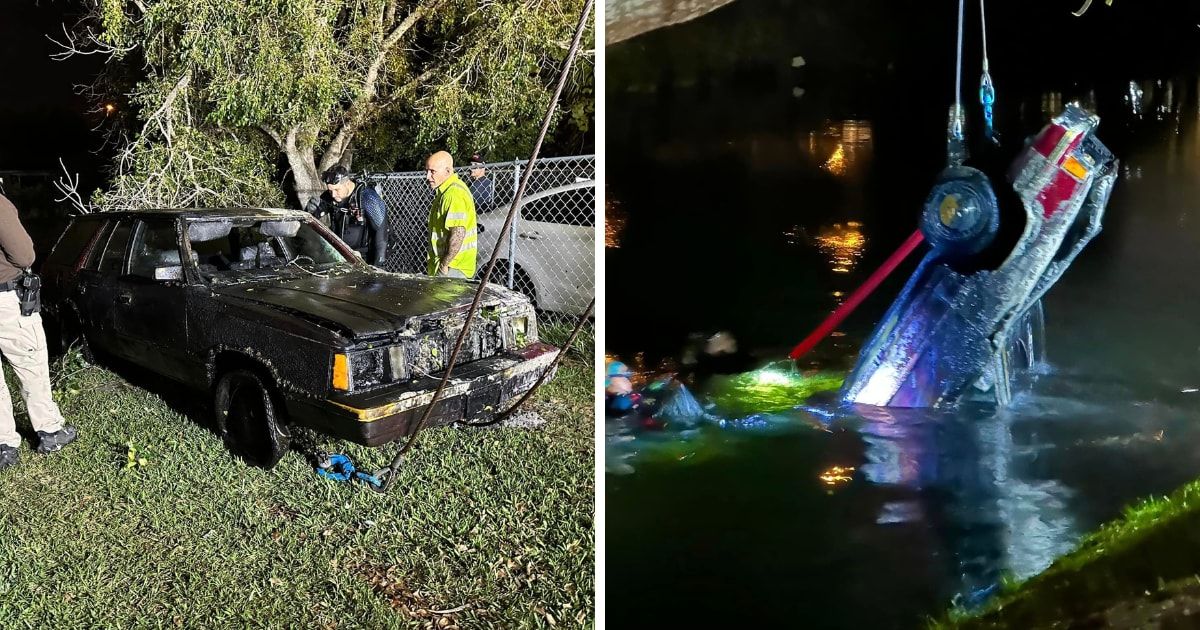Sunshine State Sonar divers risk lives in murky, alligator-ridden Florida waters to solve 'extremely dangerous' cold cases