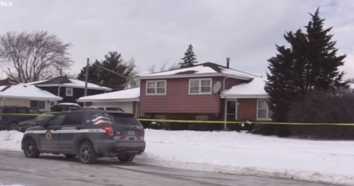 A woman and her three daughters were shot and killed at their illinois home (abc news/screengrab)