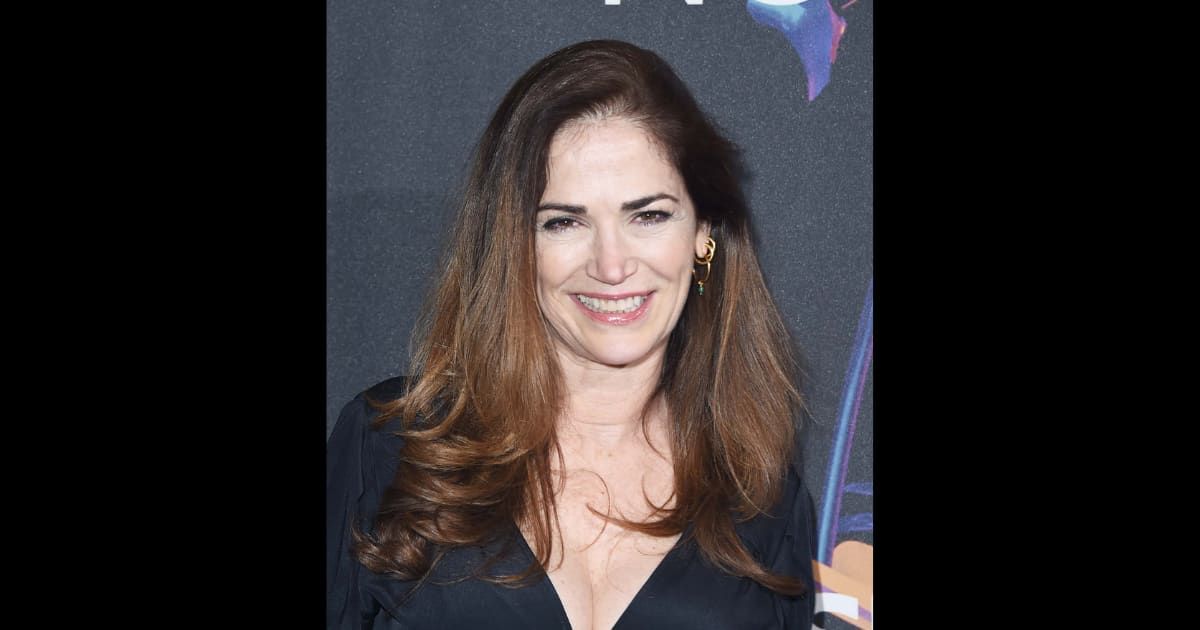'Good luck in court Kim': Internet abuzz as 'NYPD Blue' star Kim Delaney sued for fleeing hit-and-run scene