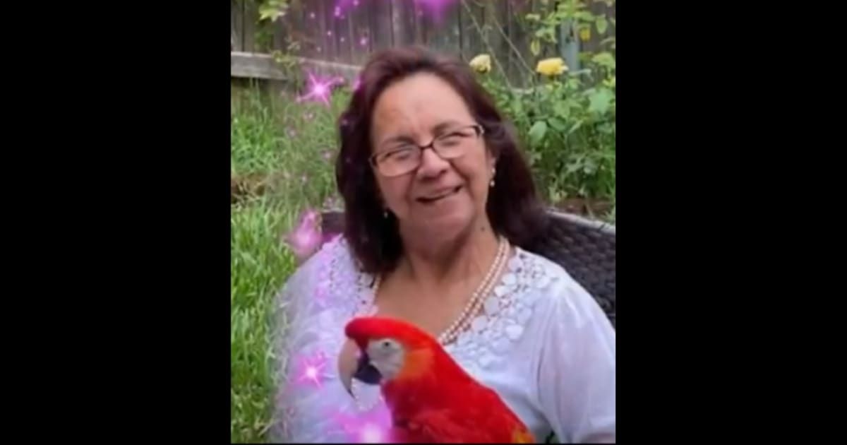Plautila Aguirre was inside her first-floor apartment when she was hit by a Buick LeSabre (YouTube/NBC DFW)