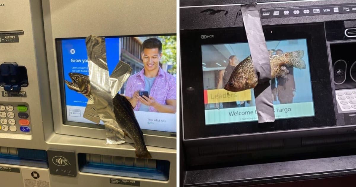 'Literally disgusting': 'Fish Bandit' teen arrested for allegedly taping fish to ATM machines in Utah