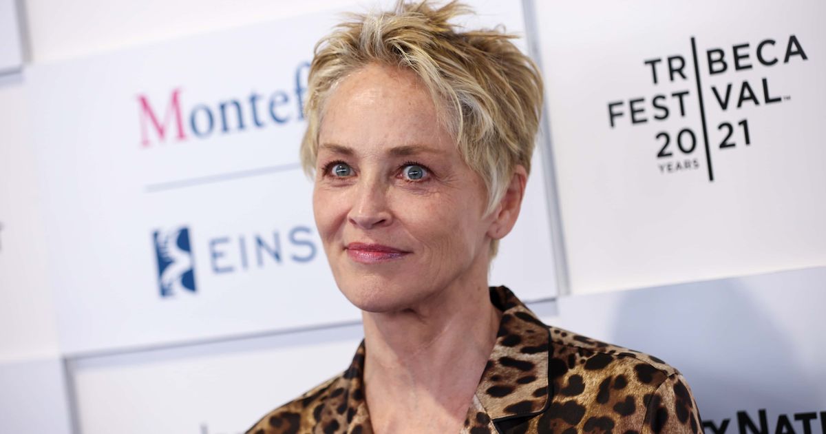 Sharon Stone admitted that she has had some positive experiences with dating apps (Getty Images)