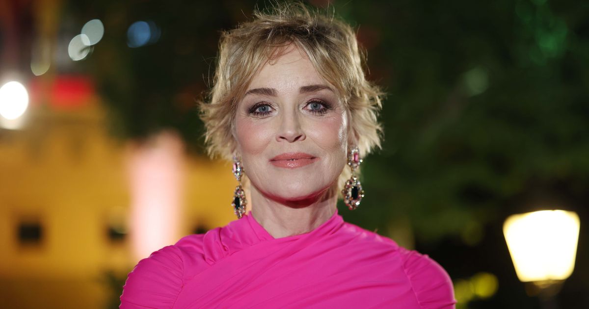 Sharon Stone said that 40s was a tough period in her life (Tim P Whitby/Getty Images for The Red Sea International Film Festival)